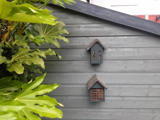 Insect Houses